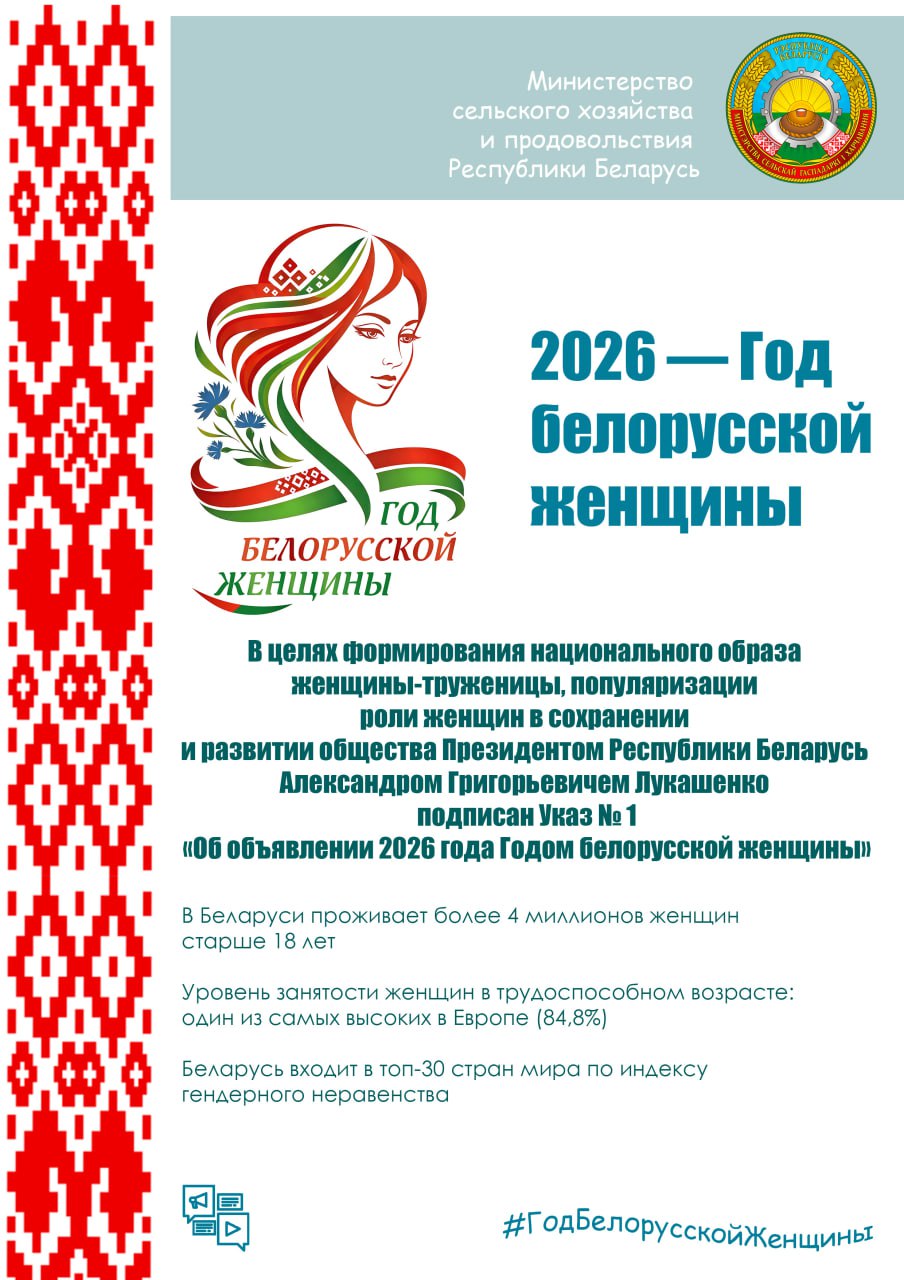 photo 2026 02 25 09 22 49